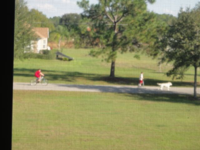 Would have gone on the walk with them, but I was working on a deadline.