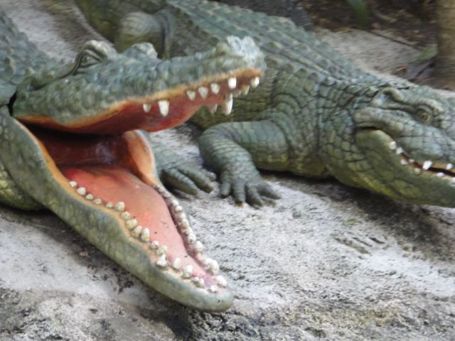 instinct spurs attack for two reasons, defense and dinner instinct