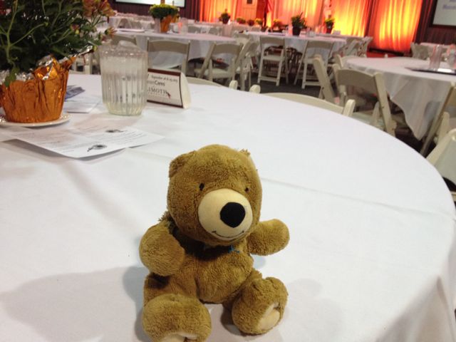 A special Teddy Bear A special Teddy Bear