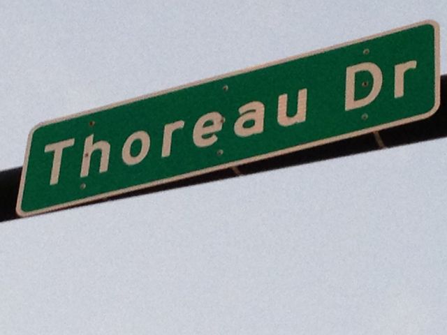 Thoreau Thoreau