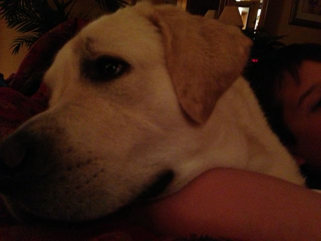 man's best friend for a reason - unconditional love (same with Jesus) unconditional love