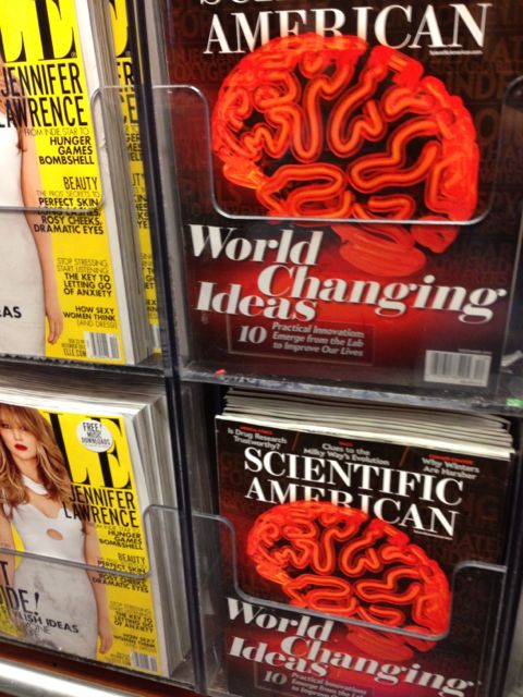 Most world changing ideas are blinding flashes of the obvious airport newsstand magazine headline