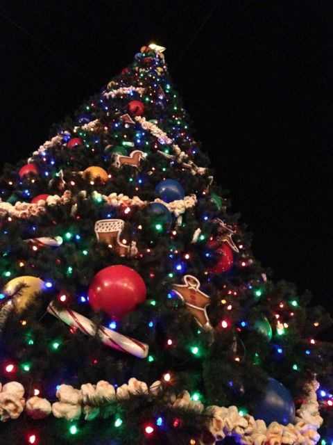 Disney's Magic Kingdom Christmas Tree 2012 at night Disney's Magic Kingdom Christmas Tree 2012 at night