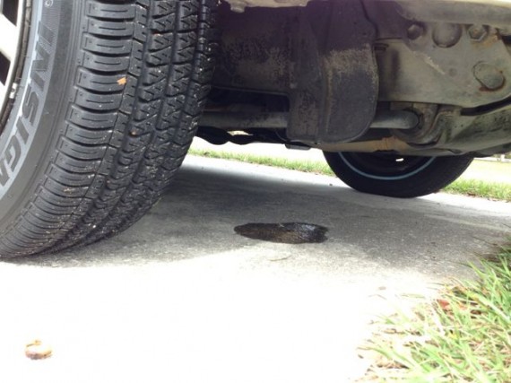 Fluid leaking from 1990 Toyota Camry engine