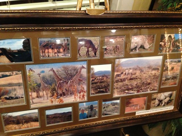 Photo collage of African safari animals