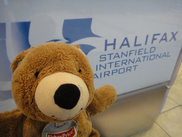 a teddy bear and a father at a canadian airport