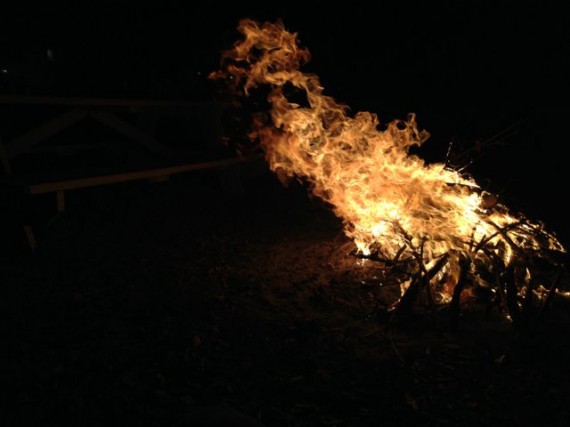 Florida backyard campfire