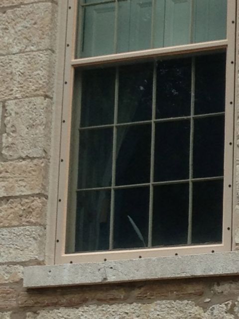 A writer's quill visible in an historic building window