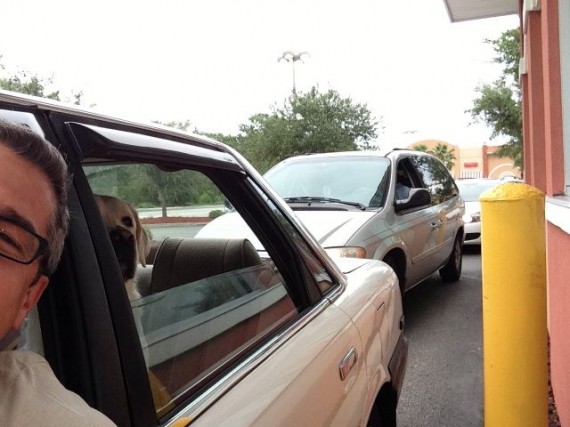 Family dog in car at Twistee Treat Drive thru