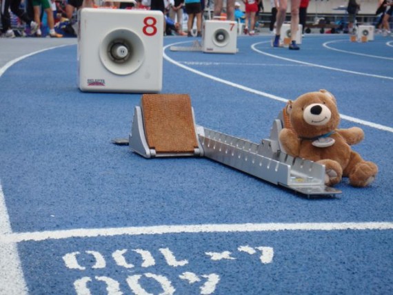 Teddy Bear in Track starting blocks in Lane 8