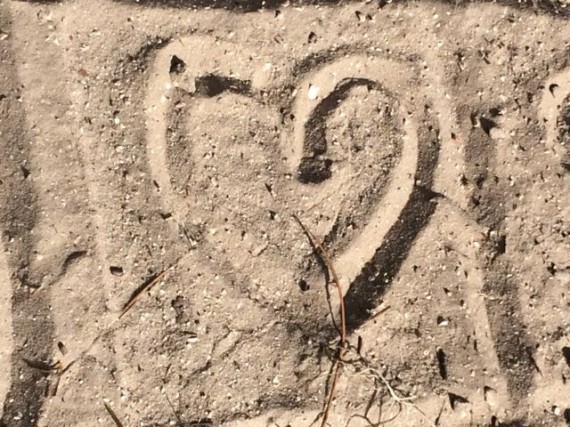 Mid Life Celebration logo drawn in sand
