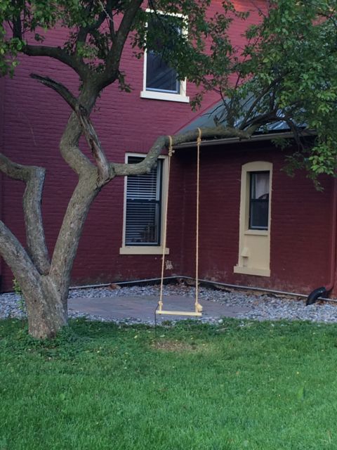 Child's swing from tree