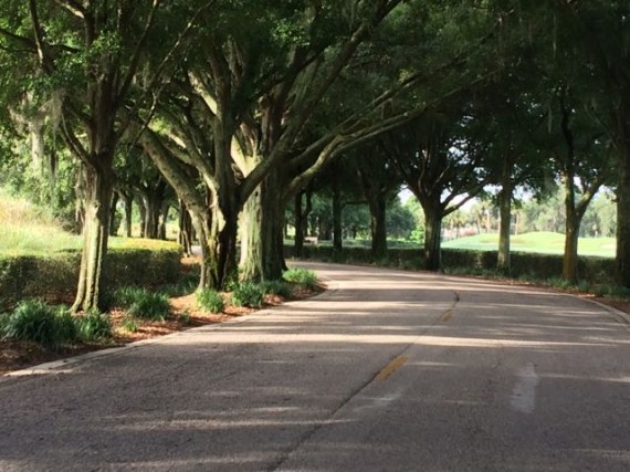 Country Club Road