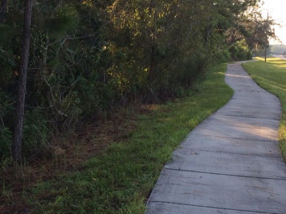 Sidewalk near Walt Disney World