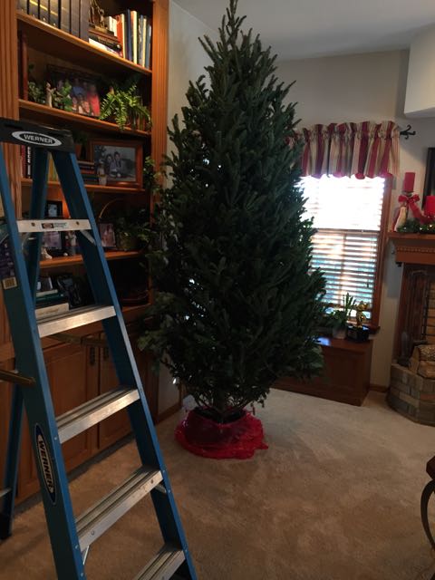 Bare Christmas tree