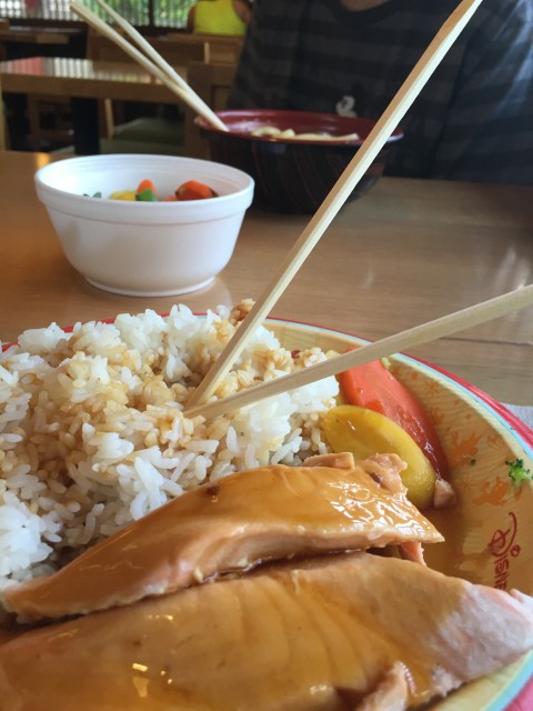 Katsura Cafe meal at Epcot