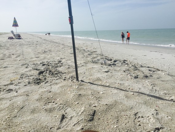 Mitchell's Sand Castle's Beach