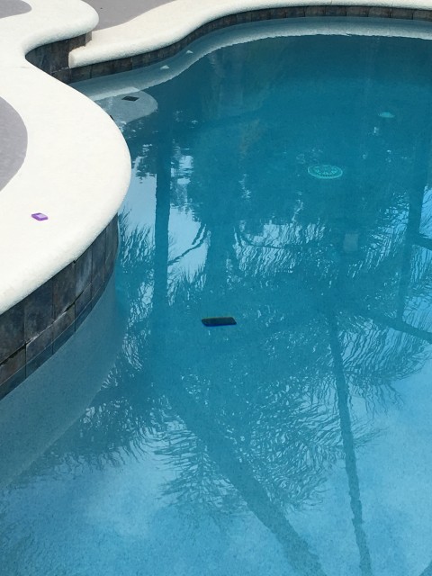 Florida homeowner swimming pool
