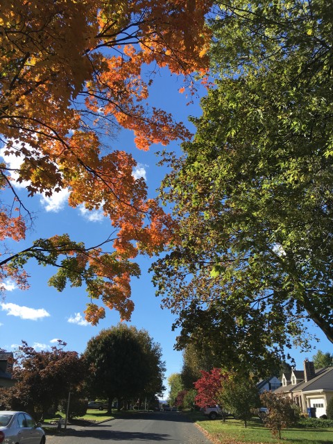 Pennsylvania Fall foliage