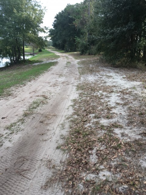 Florida sand trail