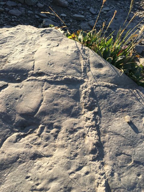 the cross in a stone