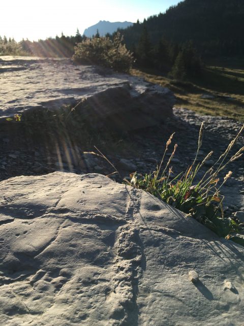 the cross in a stone