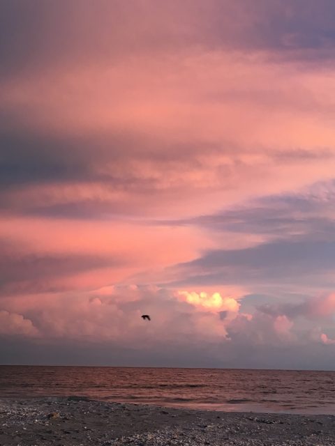 Sanibel sunset
