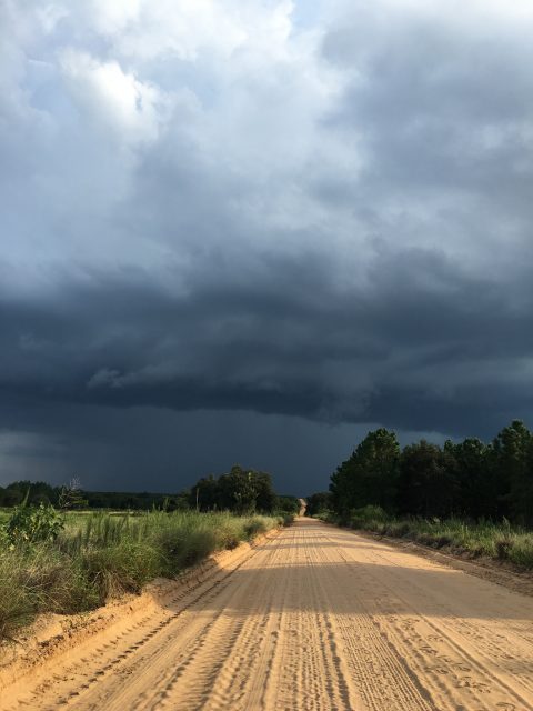 Central Florida Thunderstorm