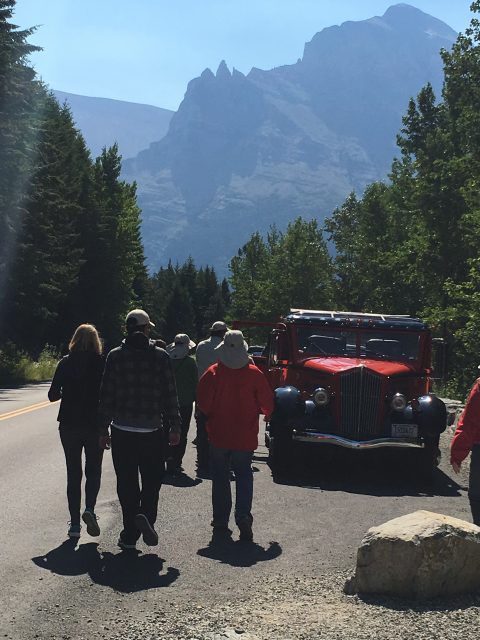 Red Bus Tour