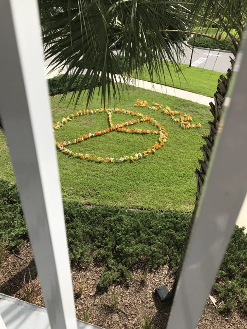 International Peace Day 2016