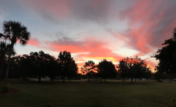 Orlando sunrise