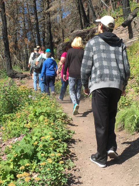 Glacier Park trail