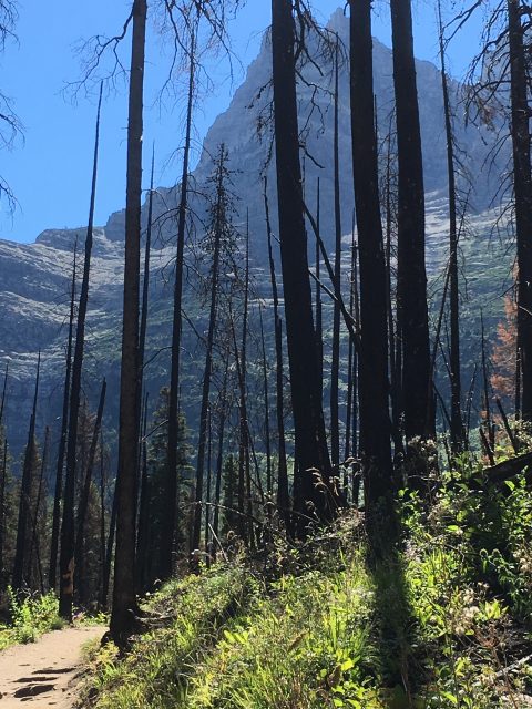 Glacier National Park