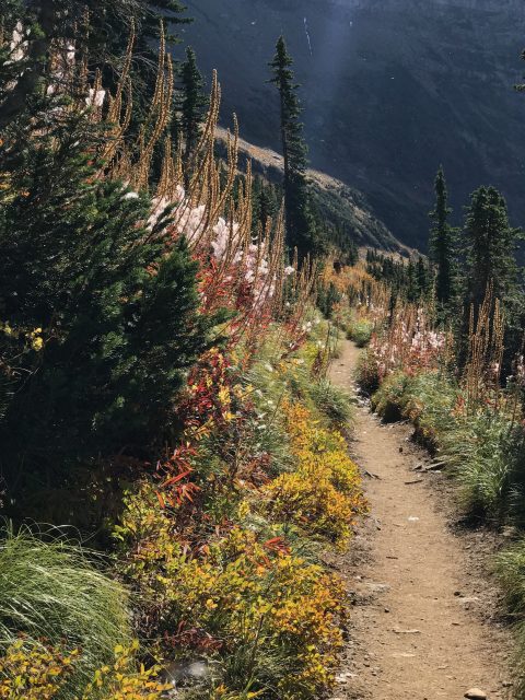 Highline Trail in September