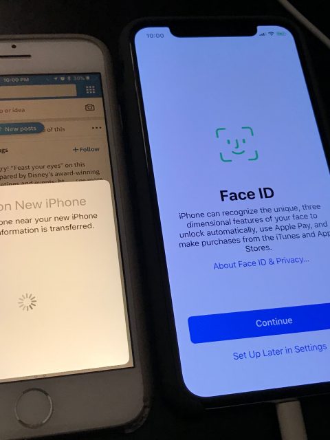 iPhone X face id