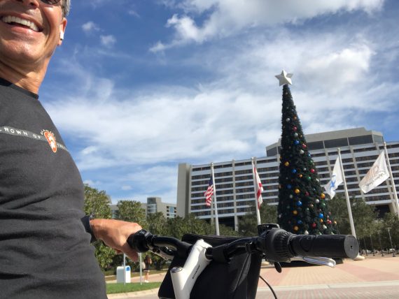 Disney Christmas trees