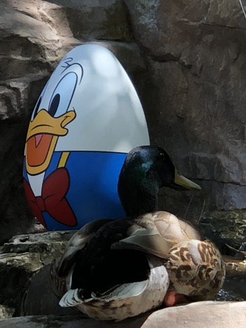 Donald Duck egg at Epcot