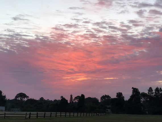 Disney world sunrise