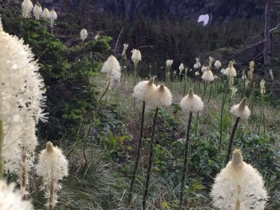 Glacier National Park