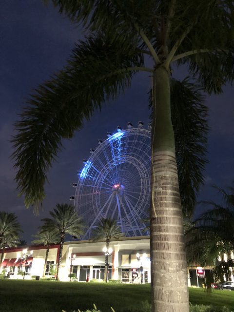 Orlando Eye