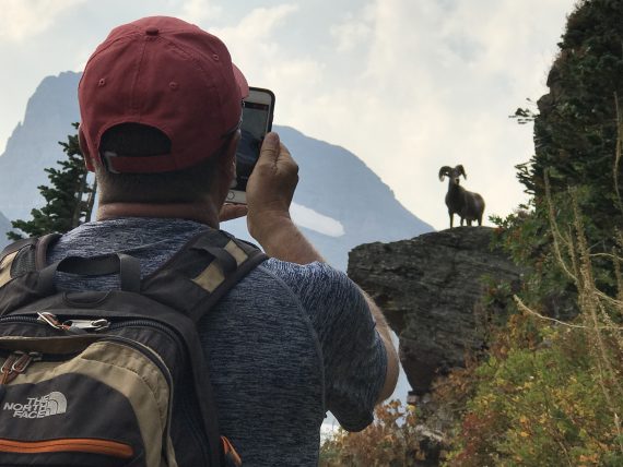 Glacier Park hikes