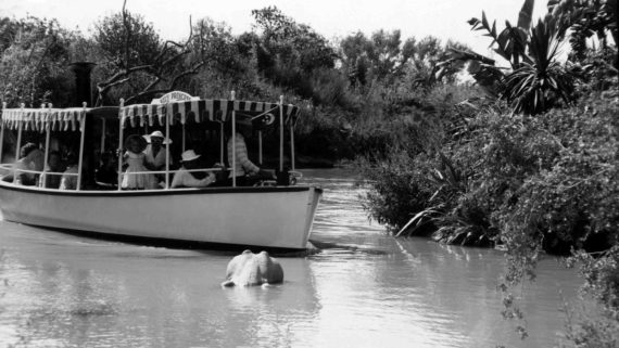 Disneyland Jungle Cruise vintage photo