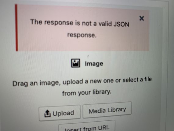WordPress JSON error