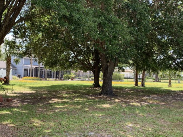 Florida homesite