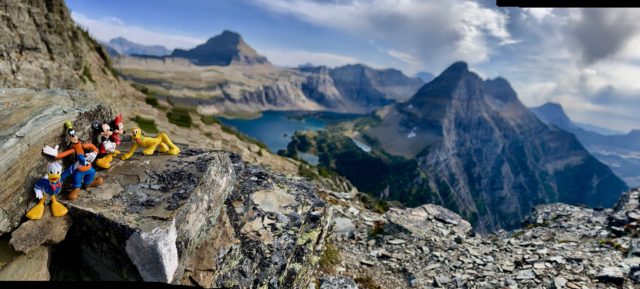 GNP