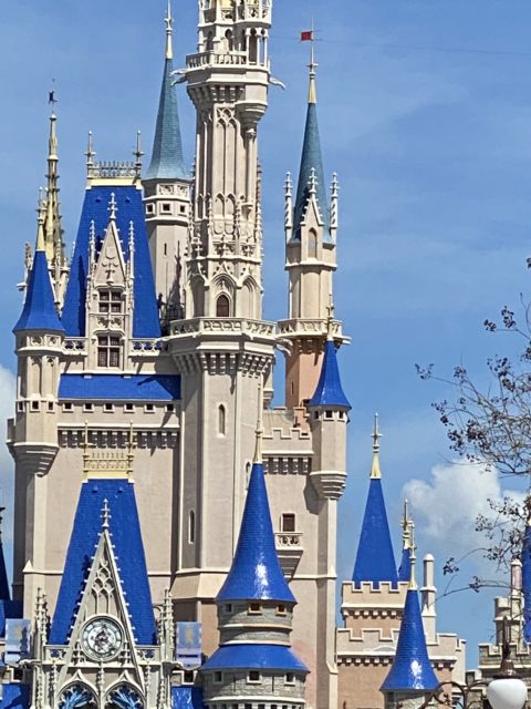 Cinderella Castle