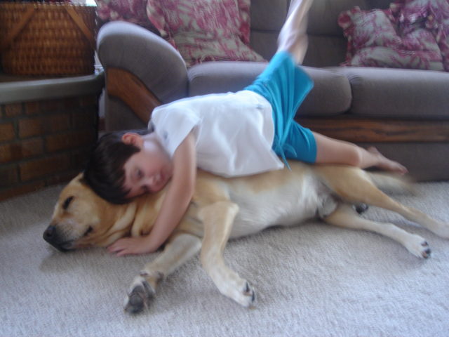 child laying on yellow lab