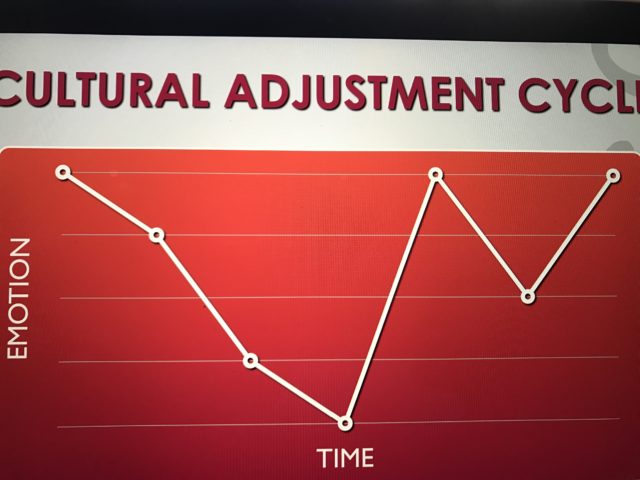 Cultural adjustment cycle