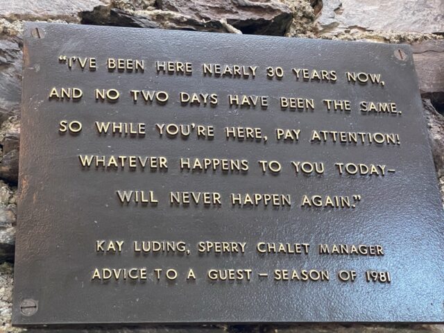 Quote on wall