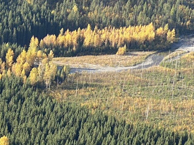 Mountain creek in Fall
